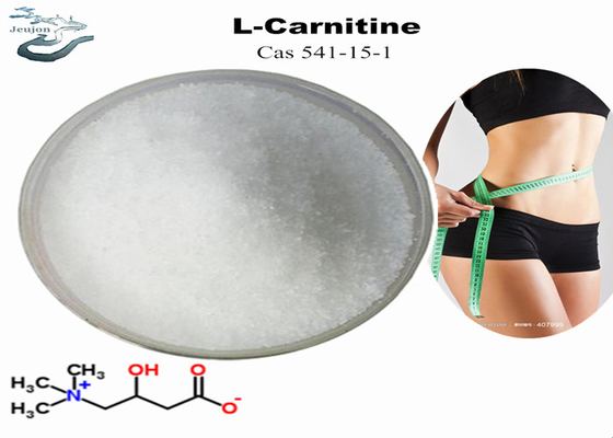 لوازم آرایشی مواد اولیه R L پودر کارنیتین برای کاهش وزن CAS 541-15-1 پودر سوزنده چربی شکم