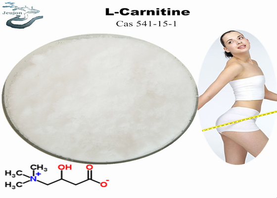 داروی چربی سوز ویتامین BT کاهش وزن L Carnitine Powder CAS 541-15-1