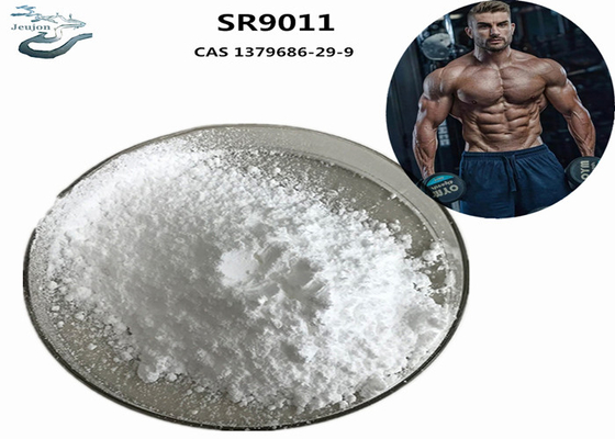 پودر ورزش سارم مکمل بدن سازی SR9011 CAS 1379686-29-9 برای ساخت عضلات