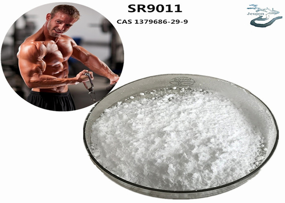 SR9011 Sarms چربی سوز پودر ورزشگاه CAS 1379686-29-9 مکمل بدن سازی