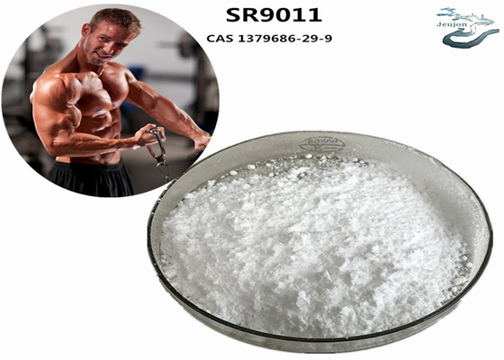 مکمل بدنسازی SR9011 Sarms Fat Burning Thermogenic Powder CAS 1379686-29-9