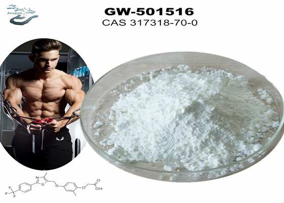 GW 501516 GSK-516 سارمز پودر ورزشگاه بدن سازی CAS 317318-70-0